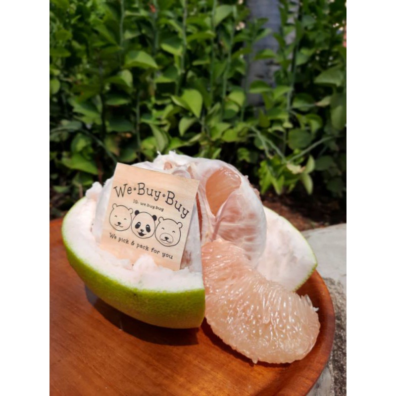 

pomelo