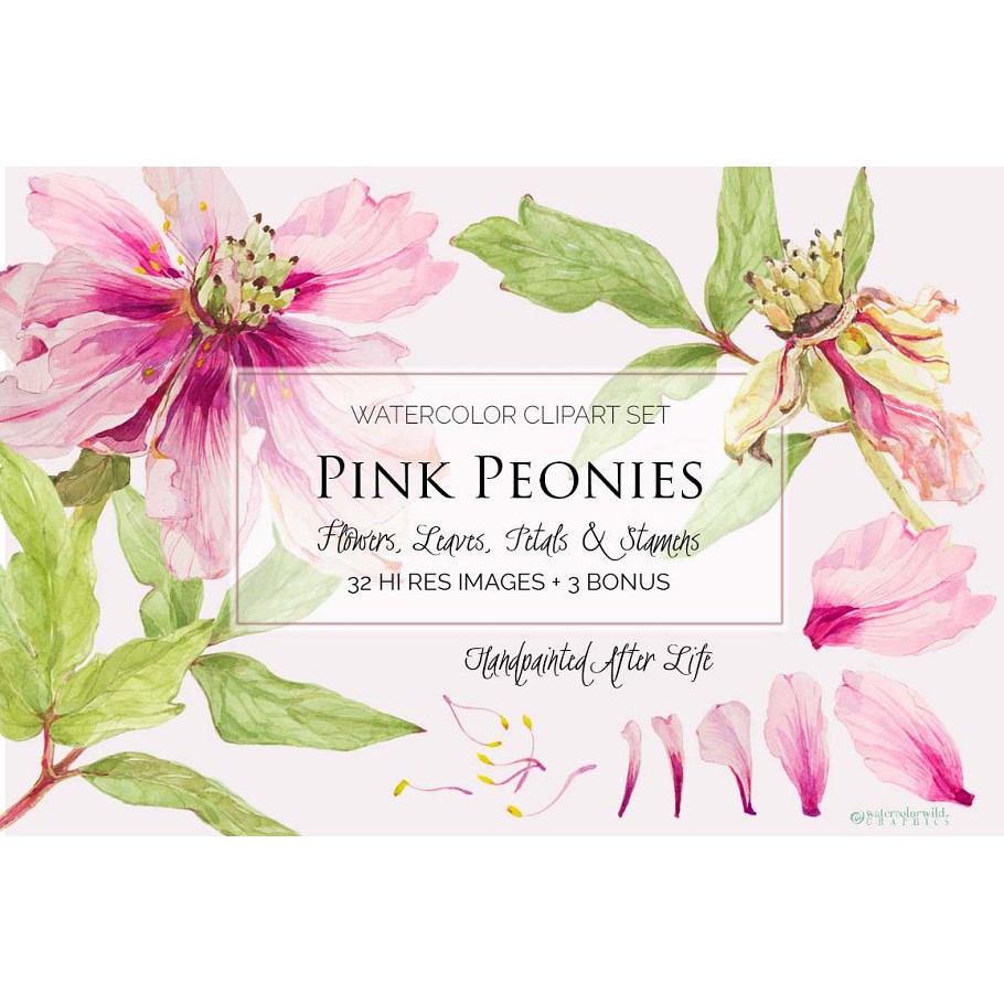 Pink Peonies Clipart Set - JPEG Ultra HD