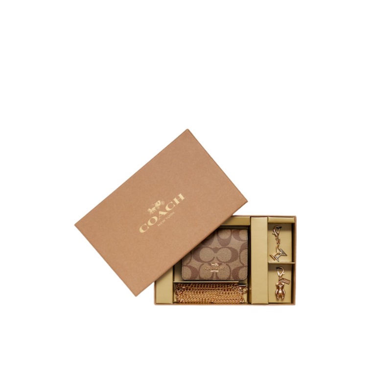 COACH Boxed Mini Wallet On A Chain In Blocked Signature Canvas