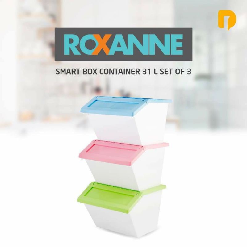 Roxanne Smart Box Container | Box Keranjang Penyimpanan | Rak Lemari