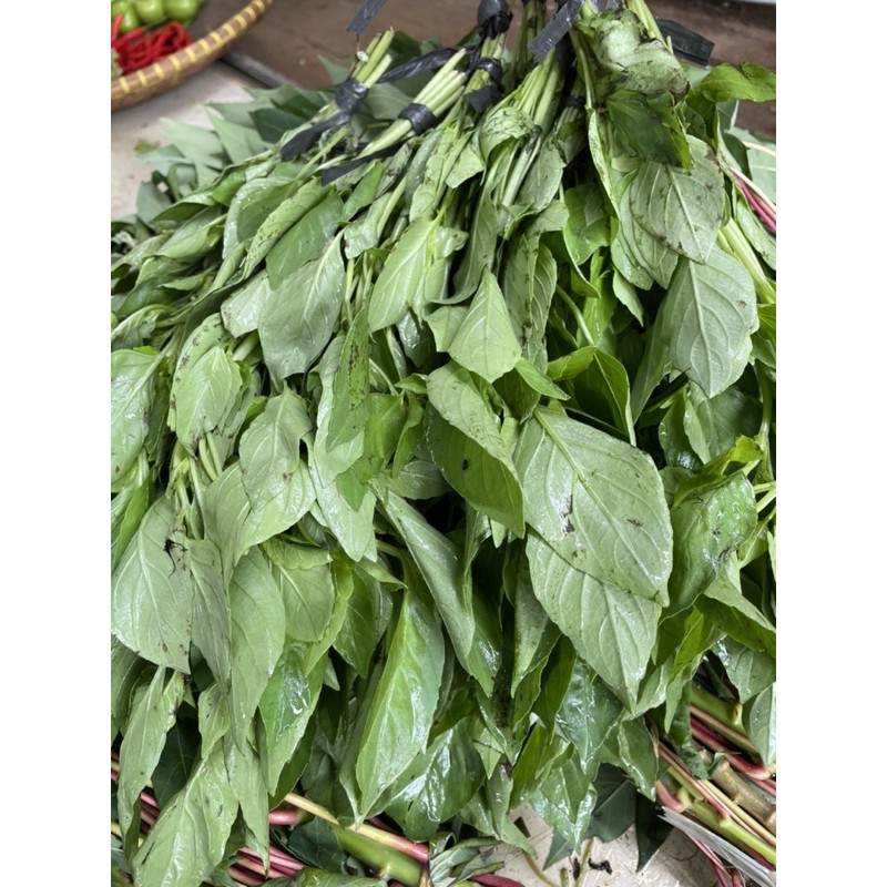 

Kemangi - 1 Pack