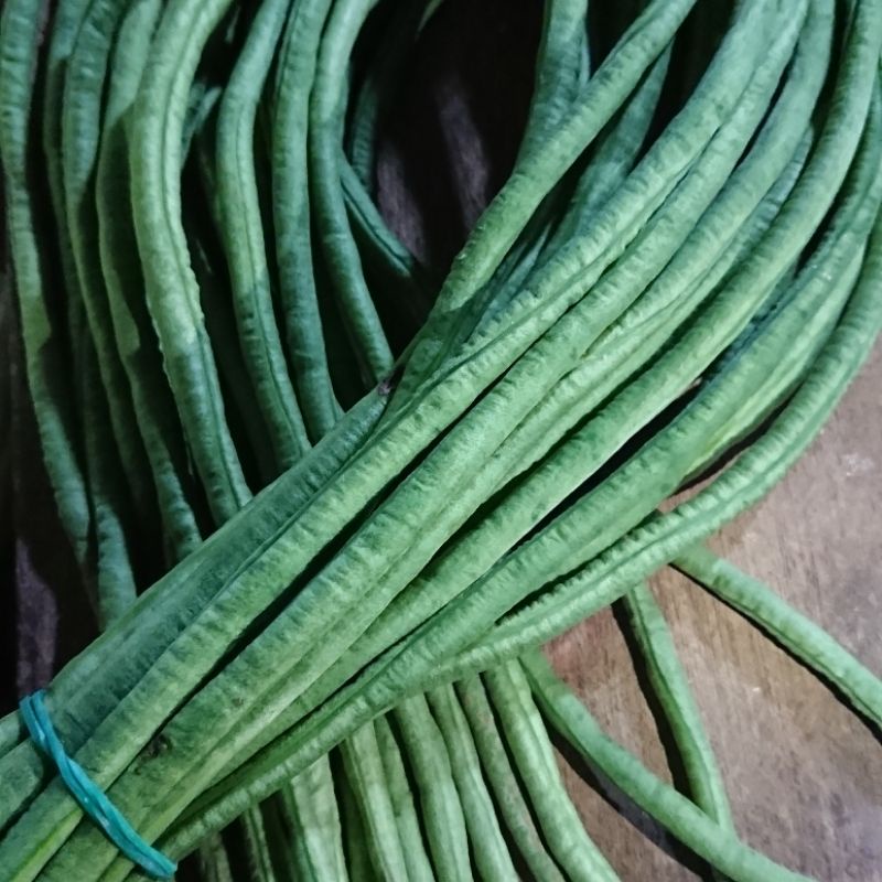 

Kacang Panjang