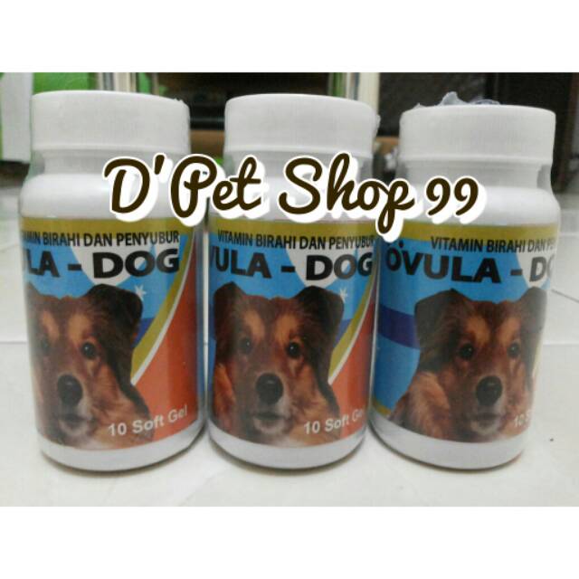 Ovula dog vitamin penyubur & birahi utk anjing