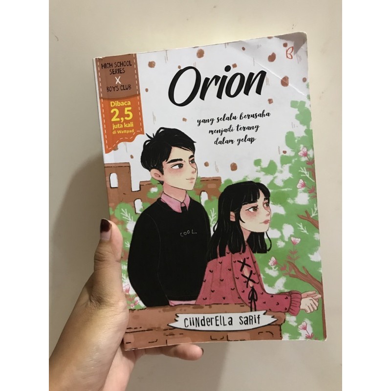 novel remaja orion