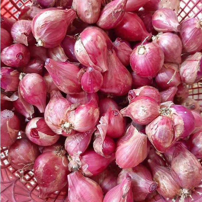 

BAWANG MERAH 1 KG