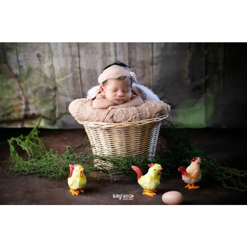 BABY PROPERTY / KERANJANG PROPERTY FOTO BAYI / ENCENG GONDOK - ROTAN / PHOTOSHOOT BABY NEW BORN