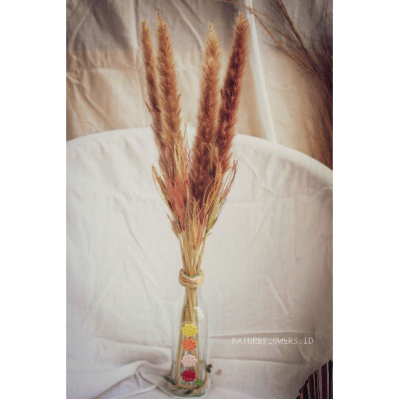 Pampas Mini Import + Vas Botol Cantik