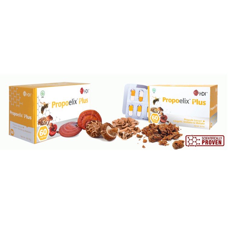 

Ekstrak Propolis Ekstrak Jamur Ling Zhi Maitake Shitake untuk Pencegahan dan Terapi Kanker