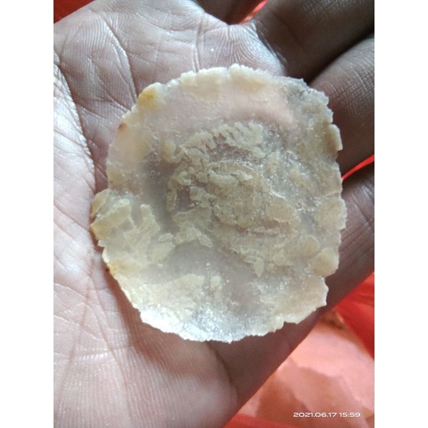 

Nycyta Home Emping Melinjo Kebumen Full Kering Uk Kecil Per 1Kg(Biji 1-2)