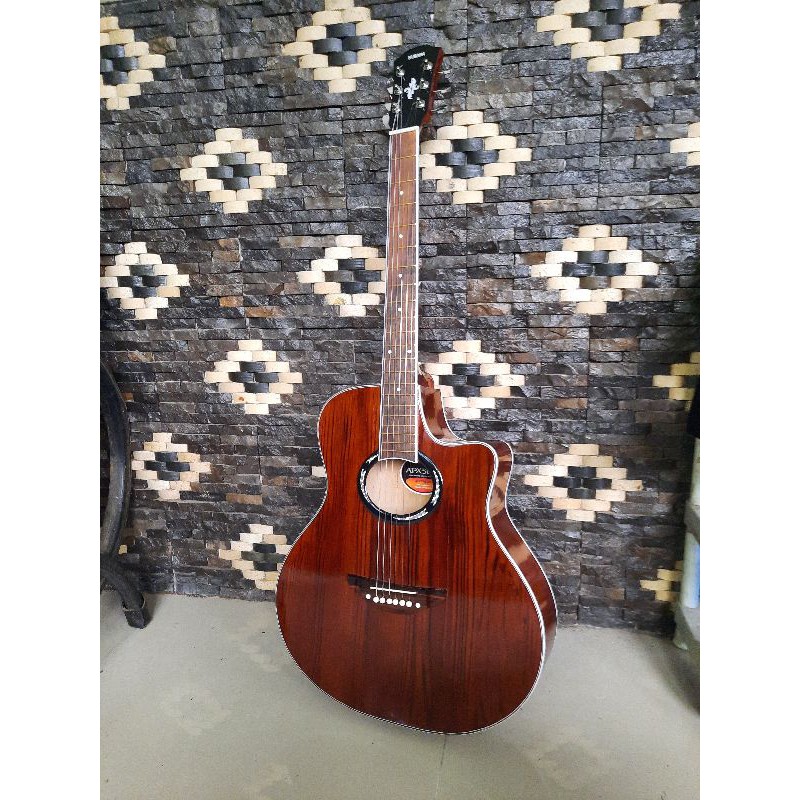 gitar custom apx500ii