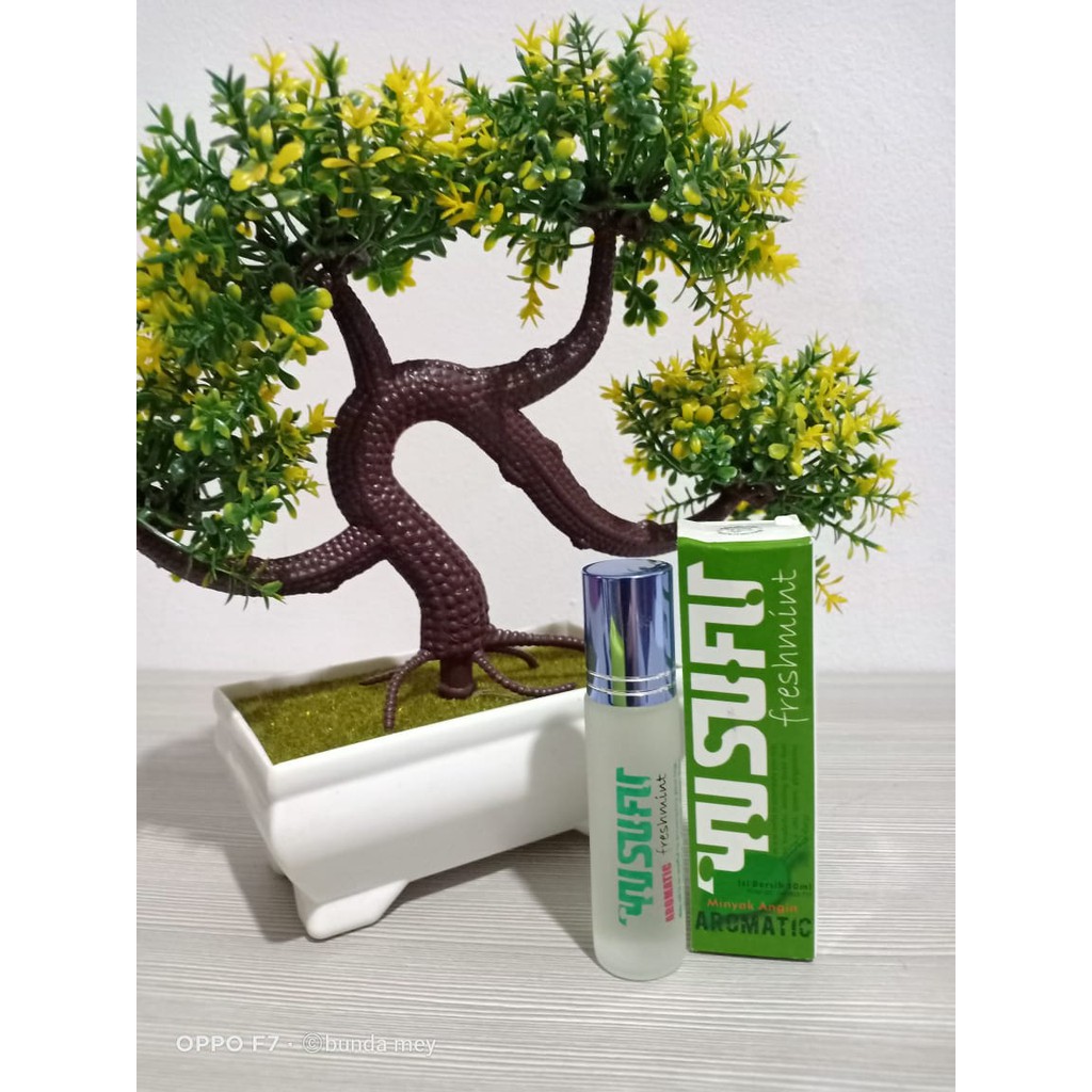 Walikukun yusufu 10 ml minyak angin/ freshmint/ minyak aromatic / aromaterapy