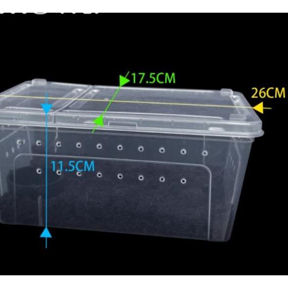 Box Reptile Medium (H4 / White) - Nomoy Pet