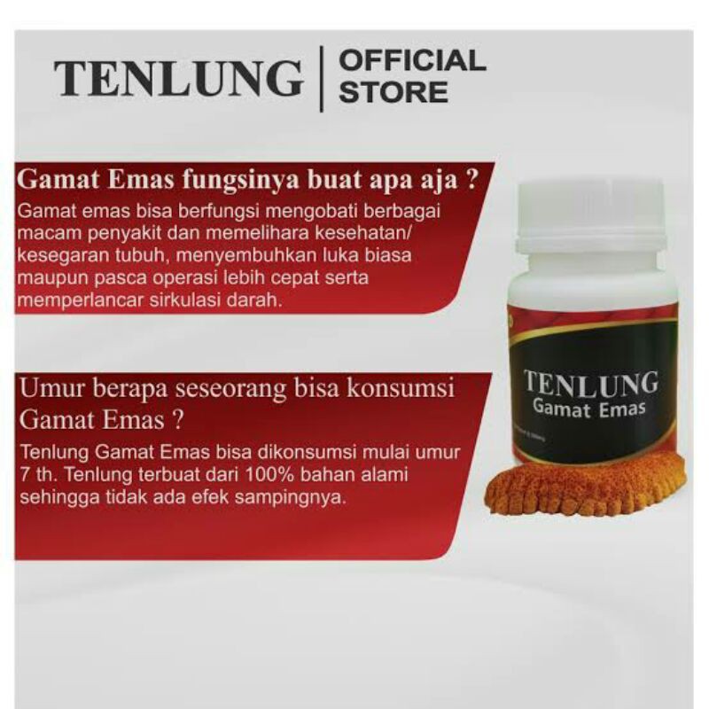 Tenlung gamat emas isi 12