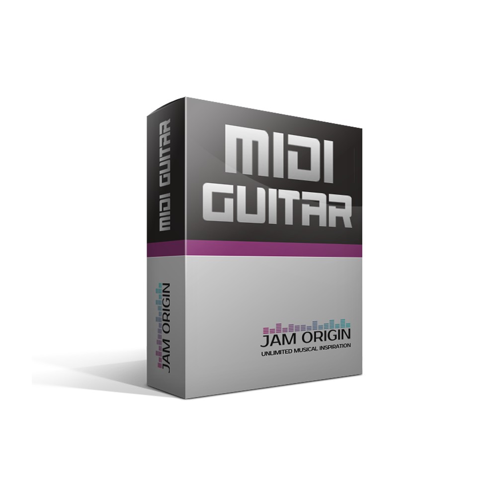 MIDI GUITAR 2