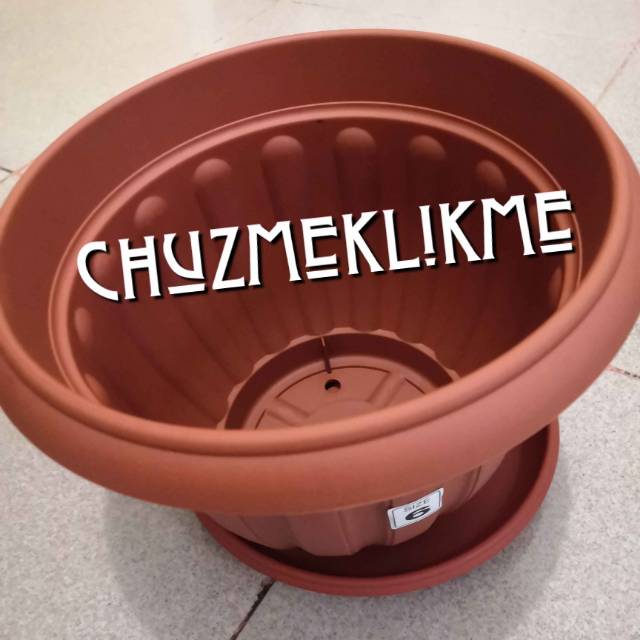 Pot tanaman lion star No.6/Lotus pot lion star FP-40