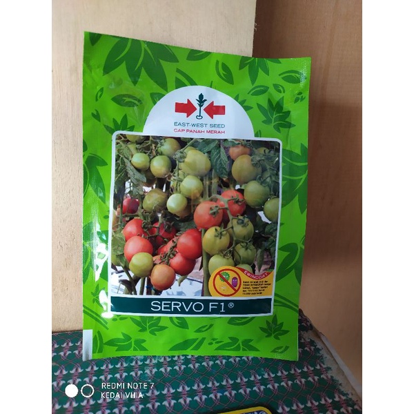 SERVO - bibit tomat servo panah merah