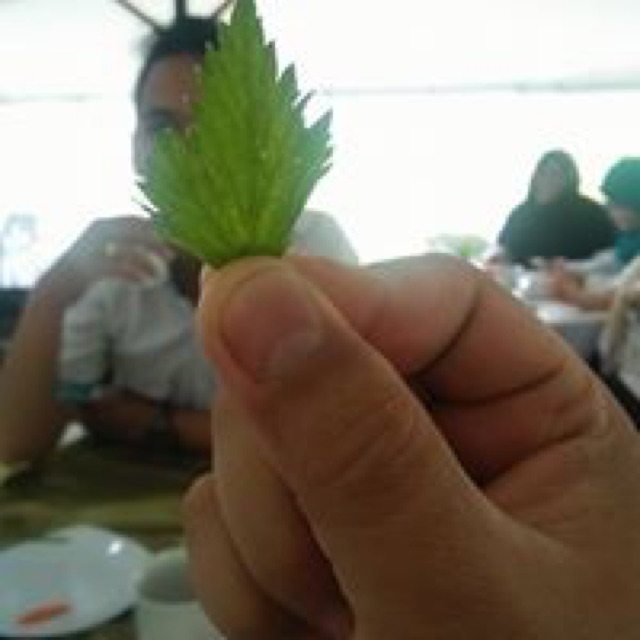 yuni123456zidan