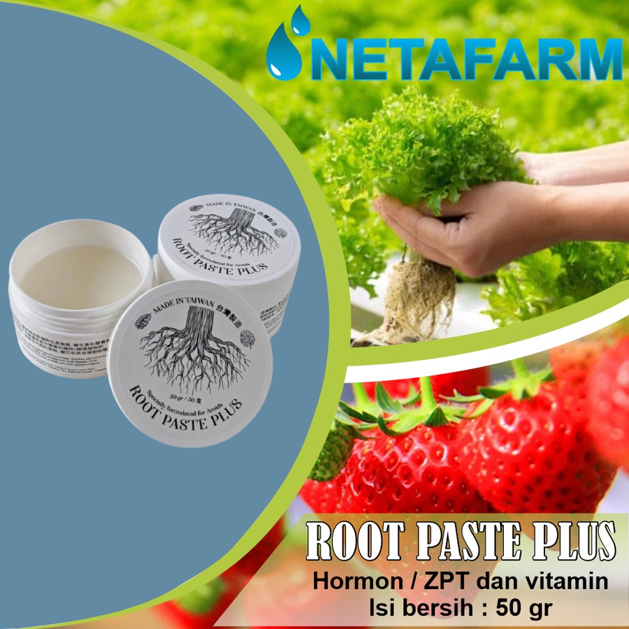 Root Paste Plus ( Taiwan ) 50 gram Pupuk Hormon Pertumbuhan Akar