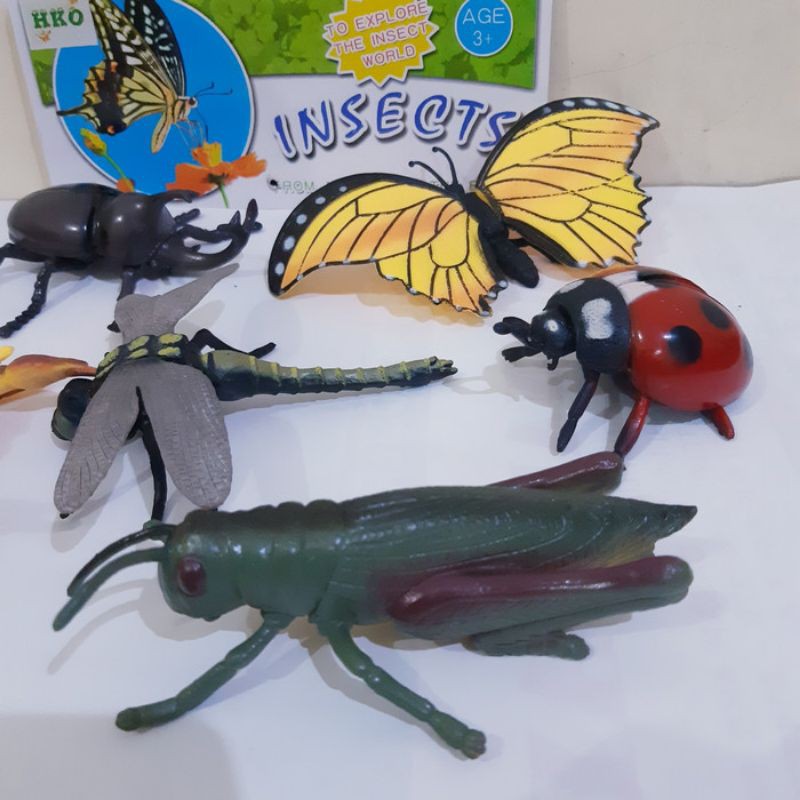 MAINAN INSECT WORLD - HEWAN SERANGGA ANAK EDUKATIF - KEBUN BINATANG