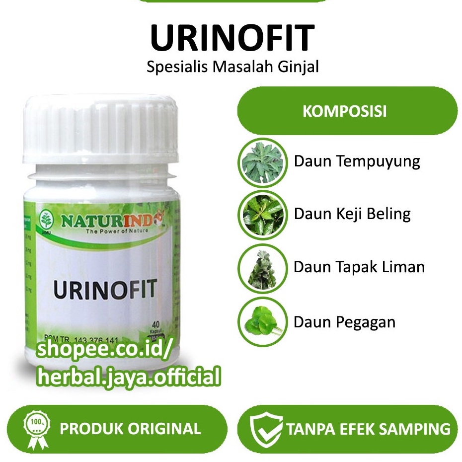 

Obat Herbal Batu Ginjal Obat Kencing Beser Gagal Ginjal Infeksi Saluran Kemih Urinofit Naturindo