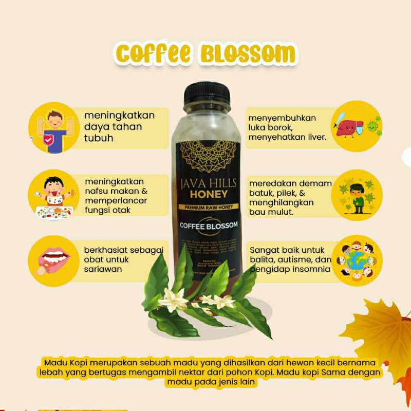 

Madu Kopi/Coffee Blossom (1000gr)