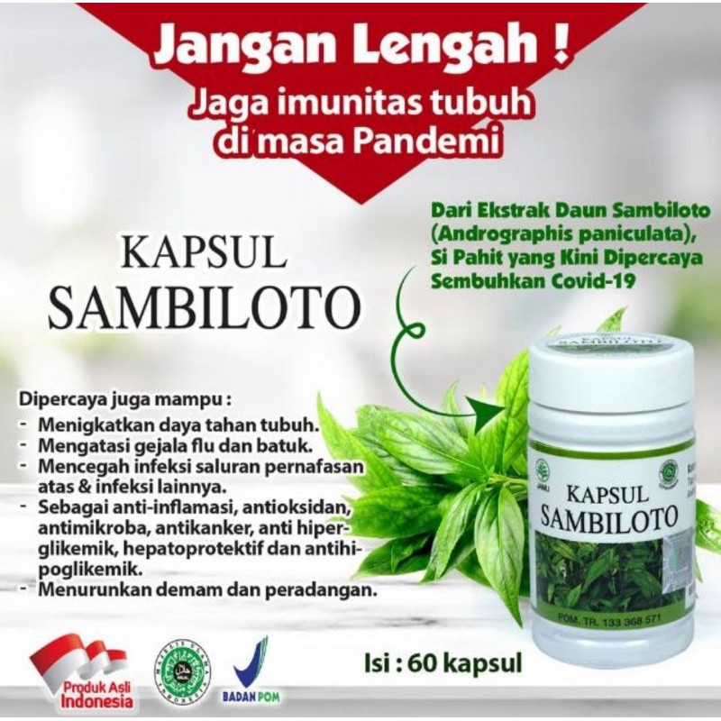 Kapsul Sambiloto Antivirus Alami (BPOM &amp; HALAL MUI) 60Kapsul Al-Ghuroba