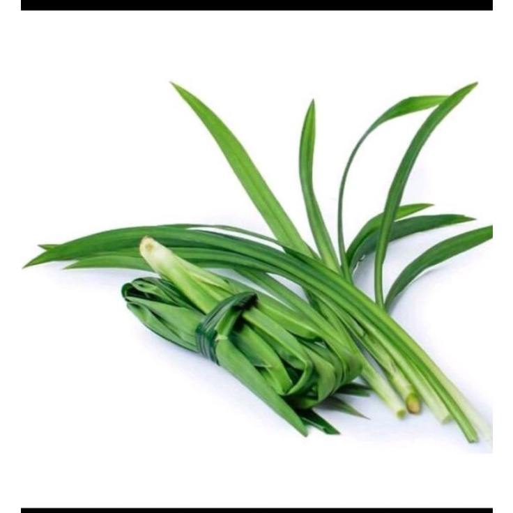 

daun pandan 100 gr