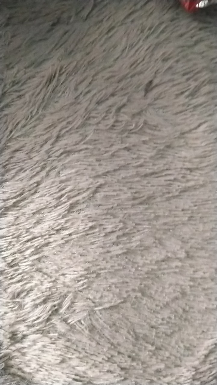 Grafting Knife Set 16pcs Pisau Okulasi Sambung Pucuk Tanaman