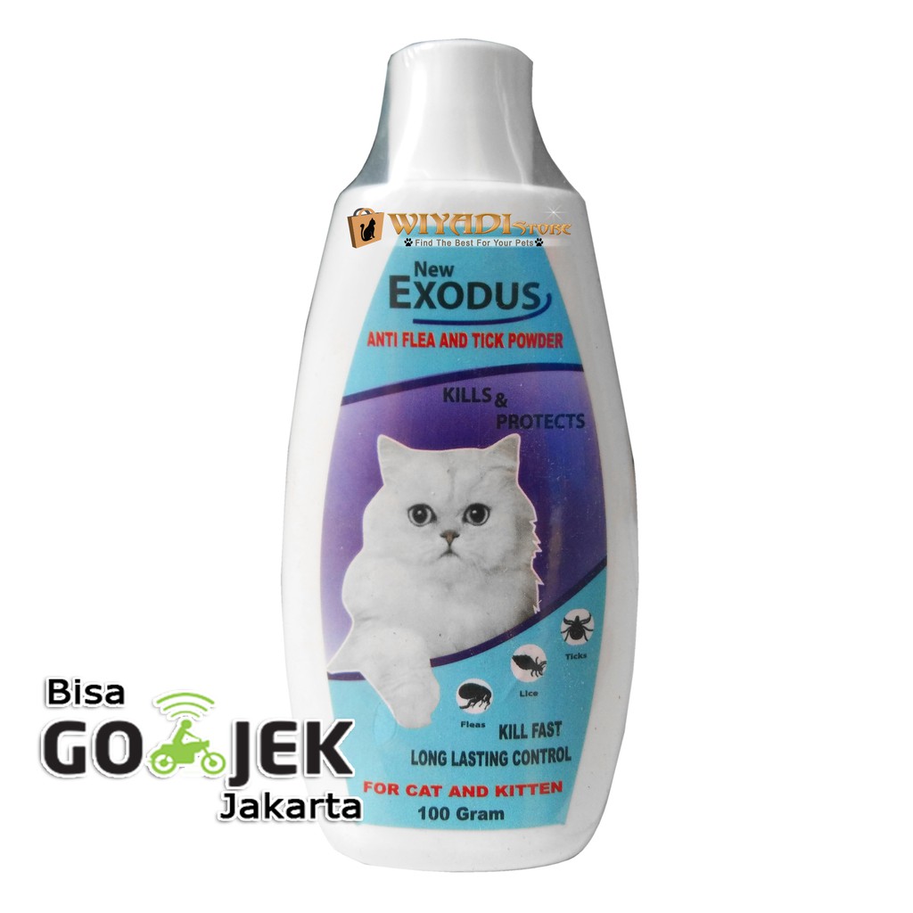 Bedak Kucing Exodus