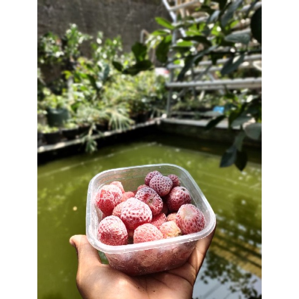 

strawberry Frozen