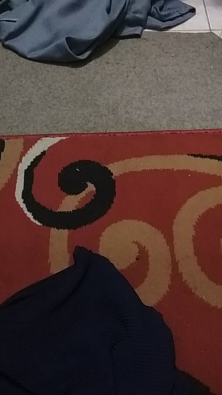 Promo Hot Sale Payung Lipat 3 Mini Kecil Pensil / Payung Lipat Pensil Ringan