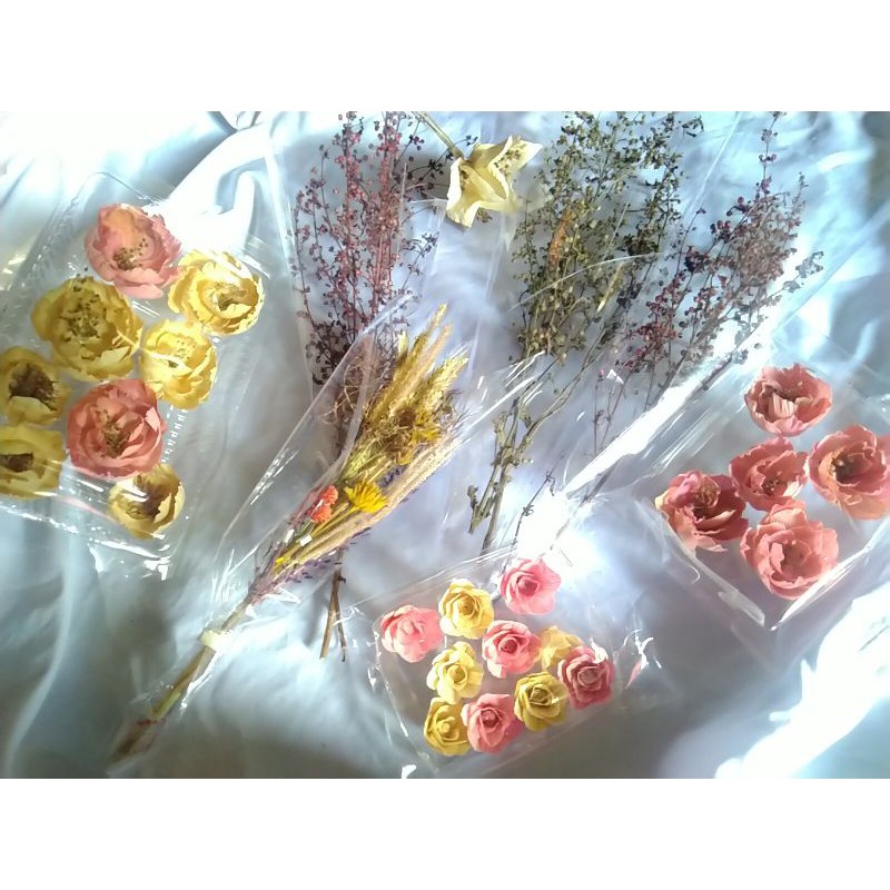 rumput kering bunga kering rumput hias daun kering