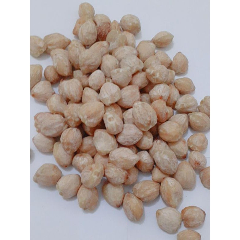 

Kemiri Bulat / Kemiri utuh Premium Kemasan 1kg
