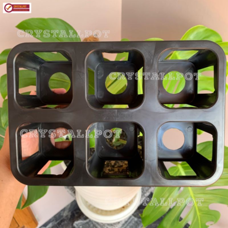 Tray pot nkt kotak 8cm (tanpa pot) | nkt kotak 8cm | tray semai bibit