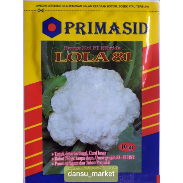 

Bunga kol LOLA 81 isi 10 gr