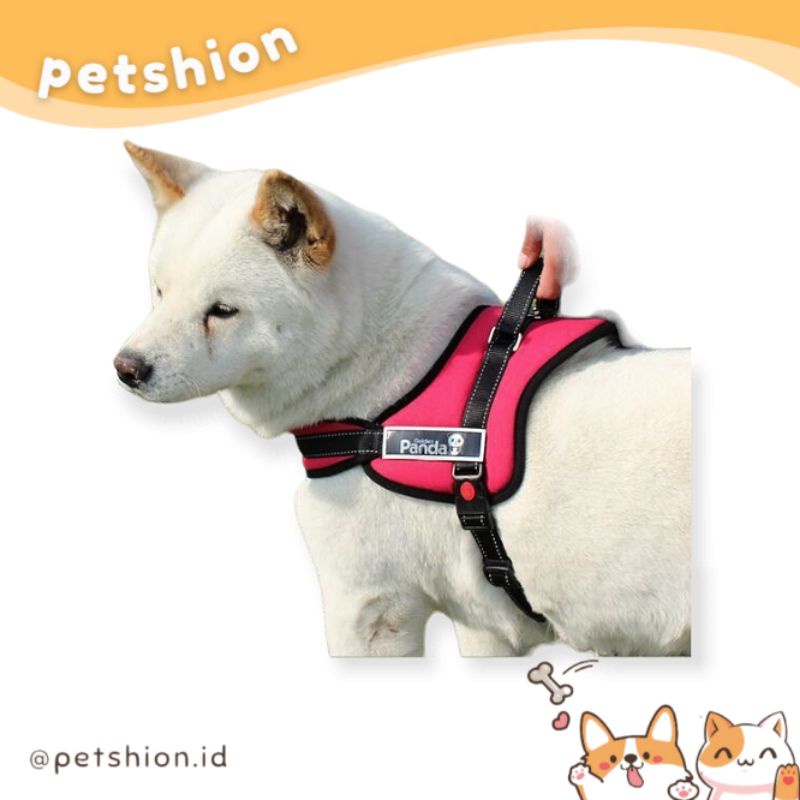 PETSHION | Big dog harness harnes tali kalung anjing besar Golden Panda