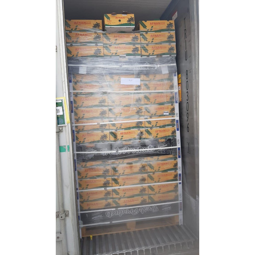 

kurma kematangan