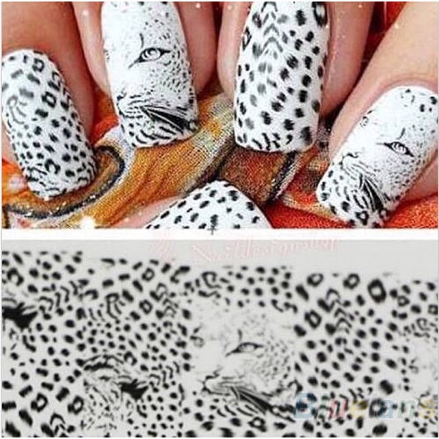 Stz-021 Water Decal Transfer Nail Art Sticker