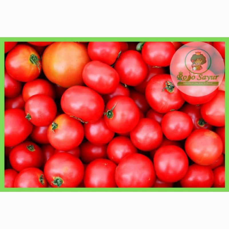 

Tomat Merah