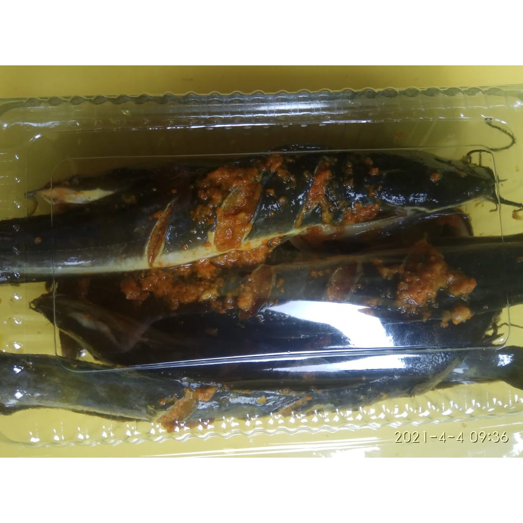 

ikan lele segar bimbu kuning siap digoreng