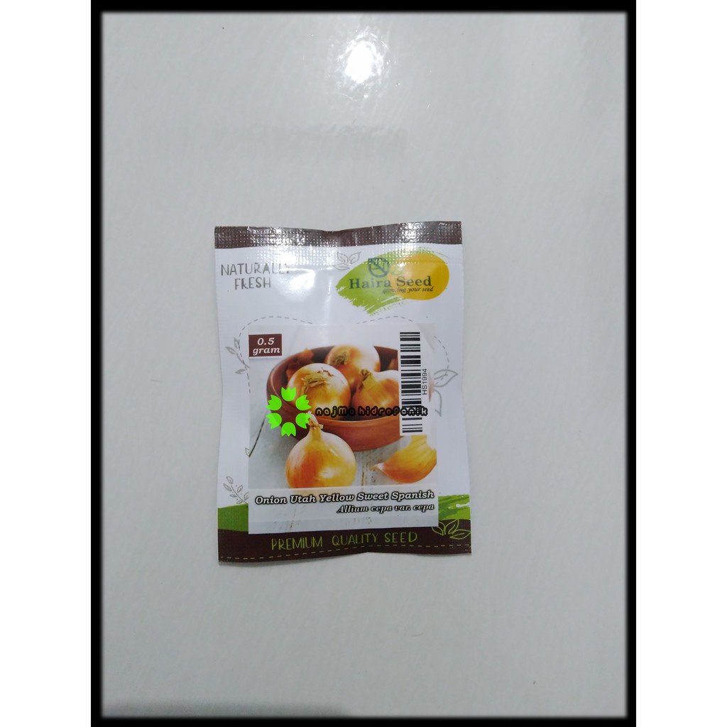 Benih/bibit Bawang Bombay Utah Yellow Sweet Spanish Pouch (Haira Seed)