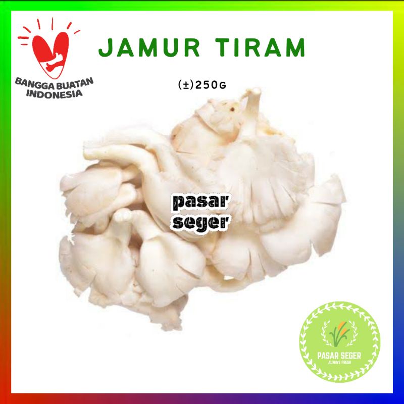 

jamur tiram [250g]