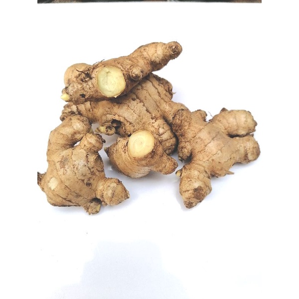 

Jahe segar 1kg/rempah rempah