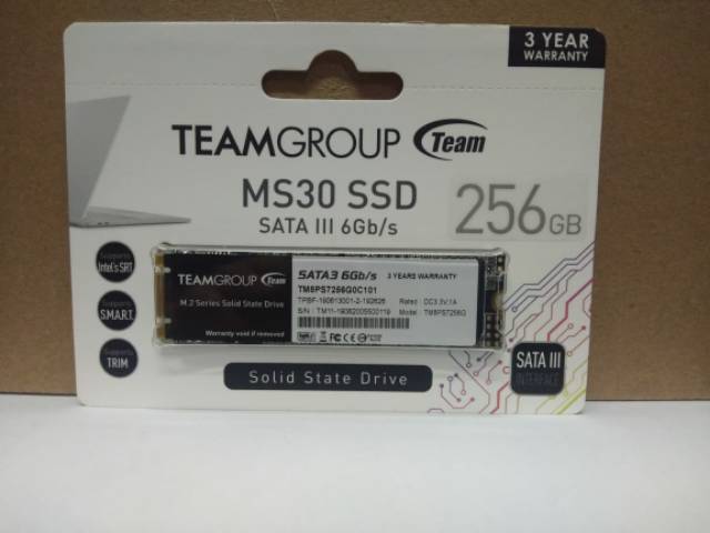 Team Group MS30 SSD 256GB M.2 2280 SATA III 6Gb/s