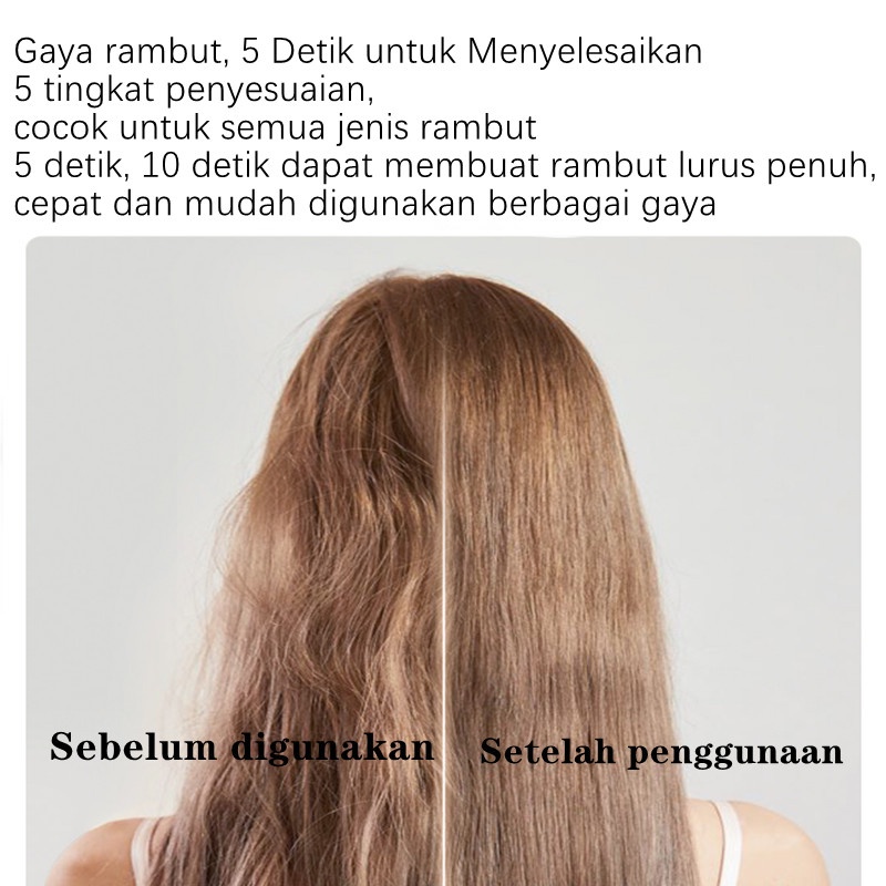 INFACE Catokan Sisir Pelurus Rambut alat catok rambut Curly Rambut catokan 2 in 1 Wet Dry Dual Use 25 Watts ZH10D