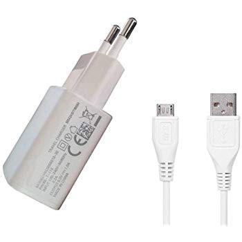 Charger Vivo Original