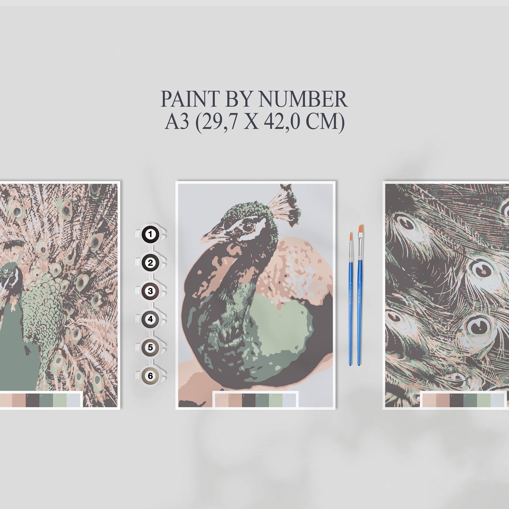 

Paint By Number Kit A3, PEACOCK