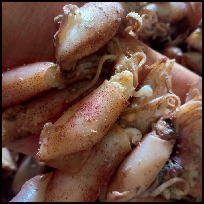 

Ikan Cumi Asin Kering Per 500Gr