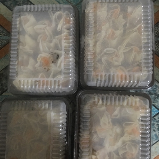 

Dimsum Seafood
