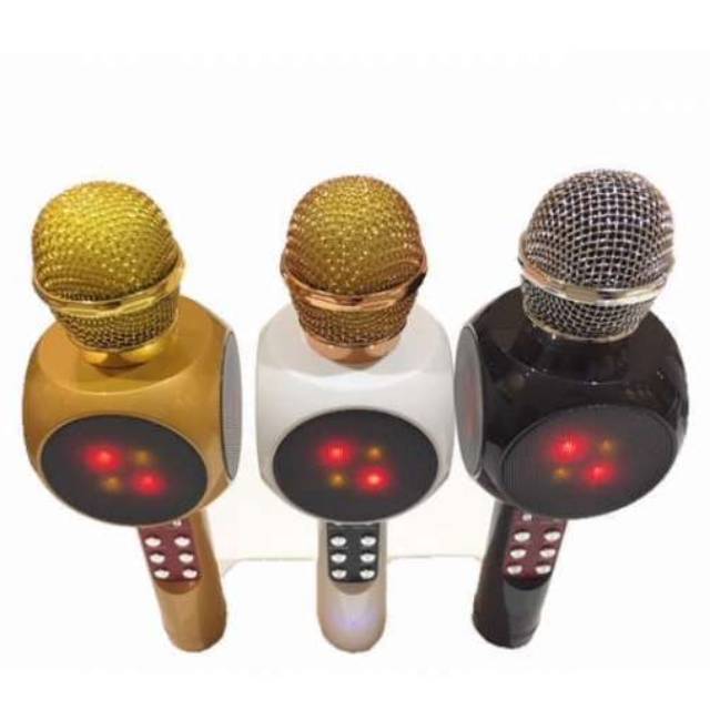 Karaoke Wireless WS-1816 - Microphone & HIFI Speaker